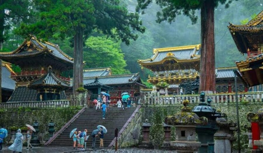 From Tokyo: Nikko luxury Tour with English-speaking Guide - Nikko Toshogu Art Museum: For When You Want More Than Stone and Paint