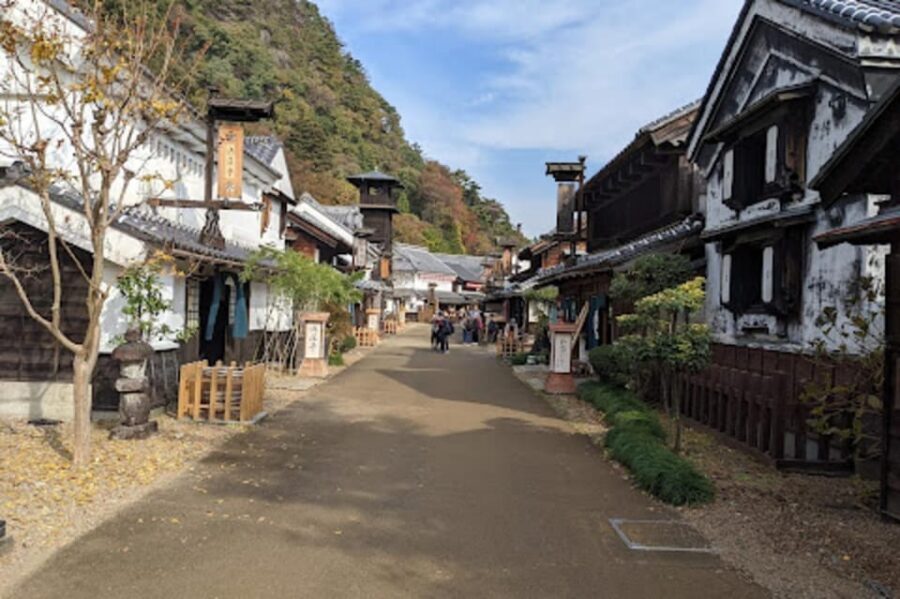 From Tokyo: Nikko luxury Tour with English-speaking Guide - Lake Chūzenji Break: Scenic Views Plus Food Choices