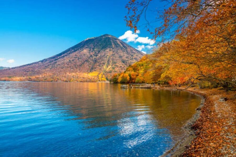 From Tokyo: Nikko Toshogu Day tour with Traditional Lunch - Key highlights to know before you go