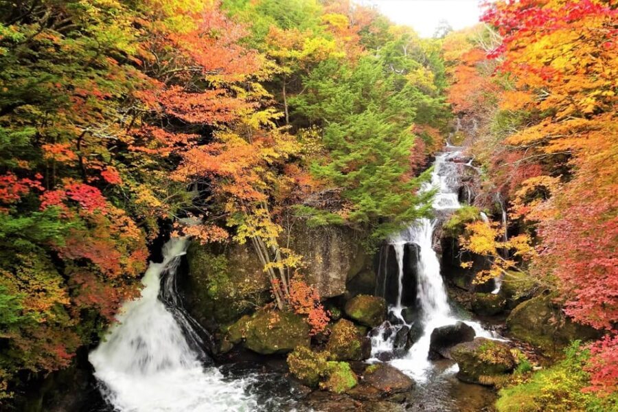 From Tokyo: Nikko World Heritage Site Private Full-Day Trip - Getting there: door-to-door pickup across Tokyo and drop-off in the region