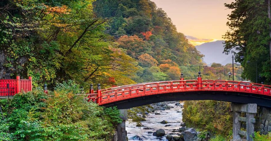 From Tokyo: Nikko World Heritage Site Private Full-Day Trip - Akechidaira Ropeway: the easiest way to get the big Nikko views