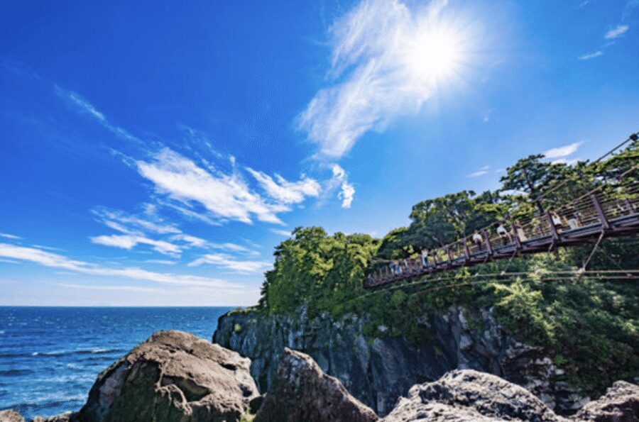 From Tokyo: Private Day Trip to Izu & Shimoda, Shizuoka - Ryosenji Temple and the historic U.S. treaty signing site