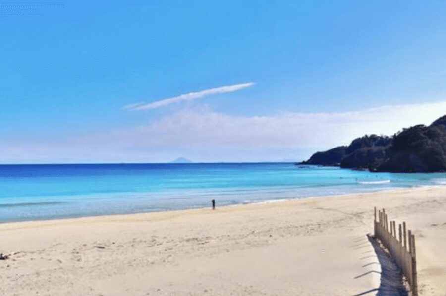 From Tokyo: Private Day Trip to Izu & Shimoda, Shizuoka - Cape Tsumekizaki Lighthouse for panoramic ocean views