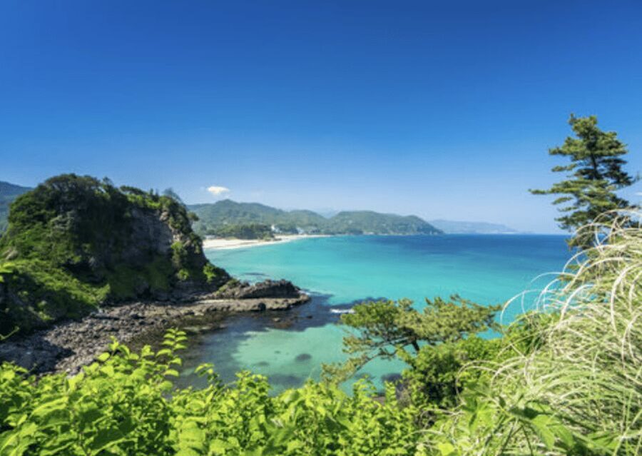 From Tokyo: Private Day Trip to Izu & Shimoda, Shizuoka - Should you book this Izu & Shimoda private day trip?