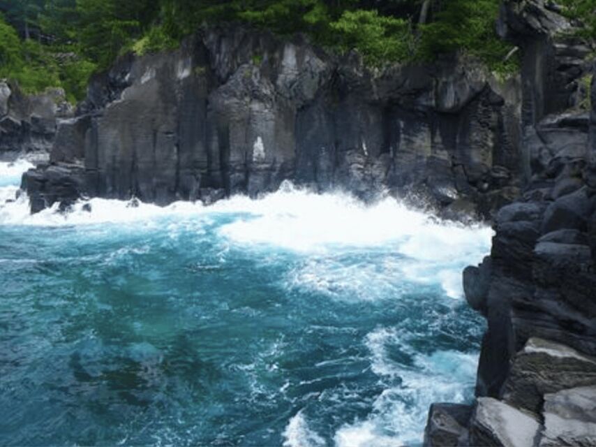 From Tokyo: Private Day Trip to Izu & Shimoda, Shizuoka - FAQ