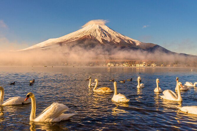 From Tokyo: Private Day Trip to Mount Fuji & Fuji Five lakes - Key highlights worth getting excited about