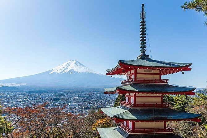 From Tokyo: Private Day Trip to Mount Fuji & Fuji Five lakes - Private pickup and chauffeured timing: the real value