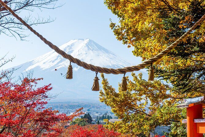 From Tokyo: Private Day Trip to Mount Fuji & Fuji Five lakes - Stop 2: Oshino Hakkai’s crystal-clear ponds and the taste of the area