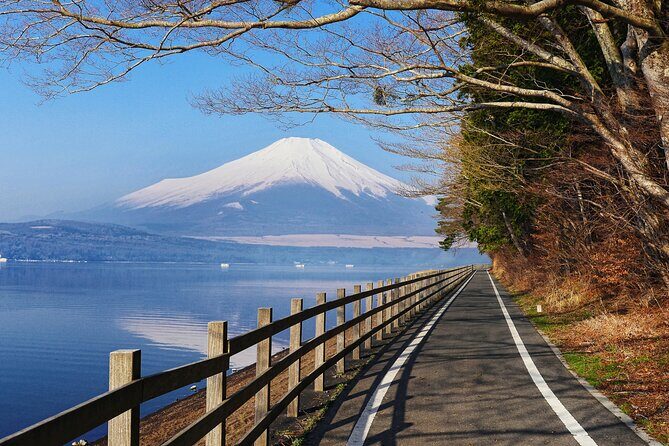 From Tokyo: Private Day Trip to Mount Fuji & Fuji Five lakes - Stop 4: Chureito Pagoda at Arakura Sengen Shrine (the classic shot)