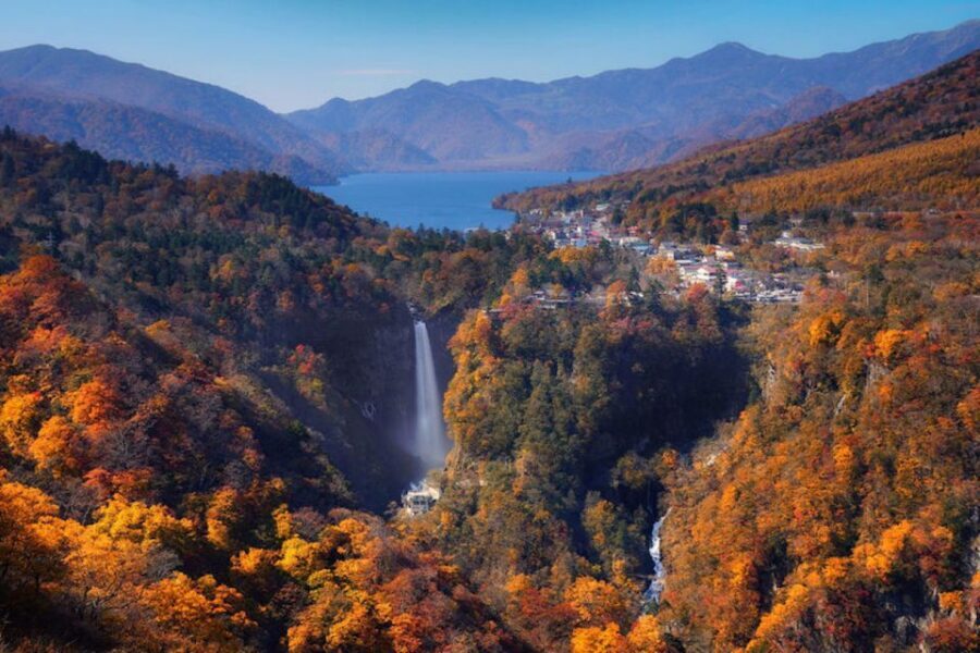 From Tokyo: Private Day Trip to Nikko and Lake Chuzenji - Getting to Nikko in a private car: the real value