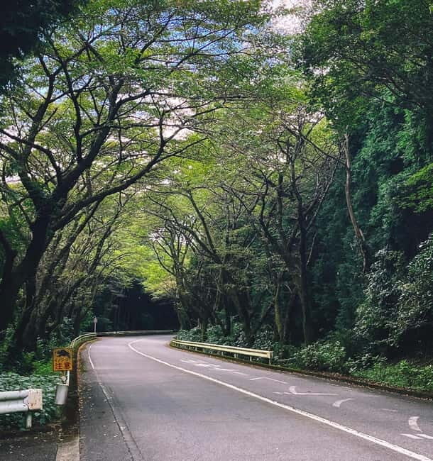 From Tokyo: Private JDM/Sports Car Tour to Mt Fuji & Hakone - The Secret Stop and the Return to Shibuya