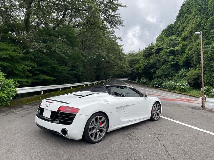 From Tokyo: Private JDM/Sports Car Tour to Mt Fuji & Hakone - Hakone Turnpike Drive (1 Hour): Curves With a Licensed Driver