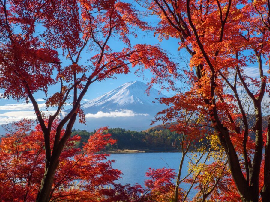 From Tokyo: Private Motorcycle Tour - Fuji, Hakone, Onsen - Tenzan Onsen: tattoo-friendly soak, lunch, and a real recovery break