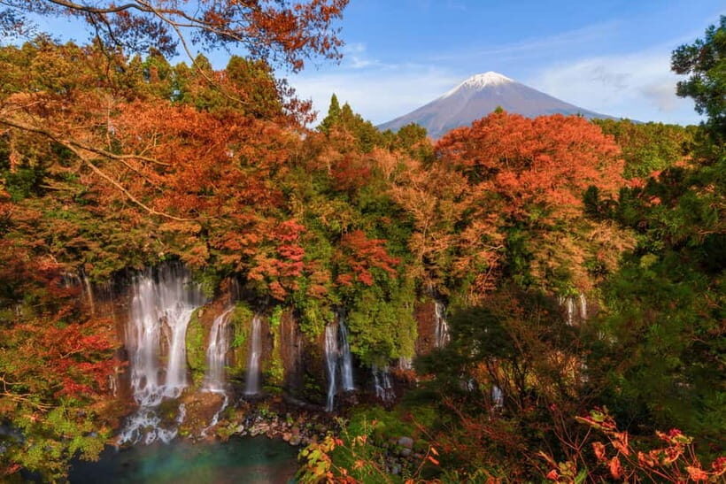 From Tokyo: Private Motorcycle Tour - Fuji, Hakone, Onsen - Practical tips that make the day easier