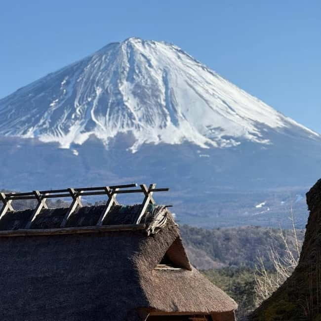 From Tokyo Private Mount Fuji & Hakone Day Trip With Pick Up - What luxury transport changes on a long day