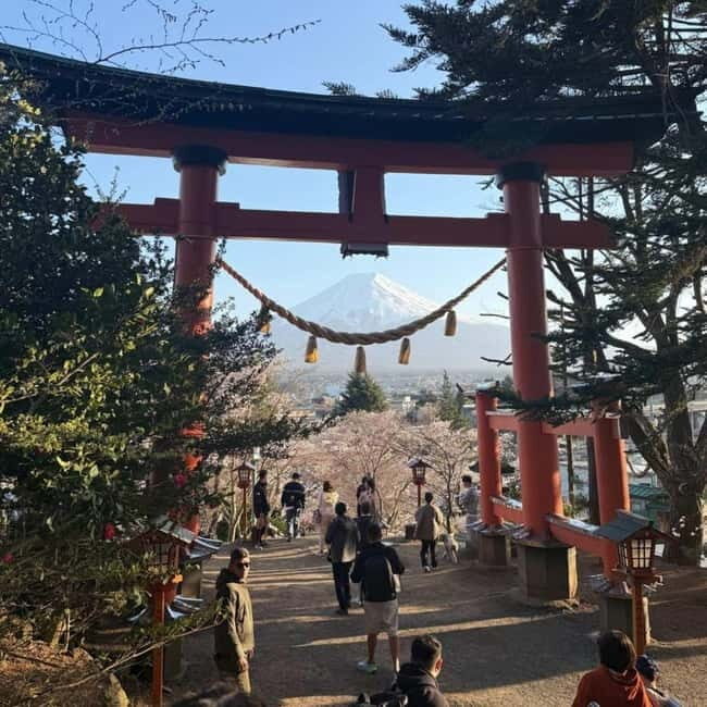 From Tokyo Private Mount Fuji & Hakone Day Trip With Pick Up - Mount Fuji Station: your first big view (and the weather reality check)