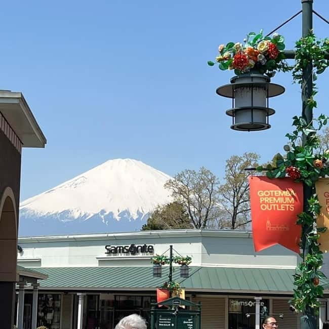 From Tokyo Private Mount Fuji & Hakone Day Trip With Pick Up - Hakone Ropeway: volcanic views from above (and ticket planning)