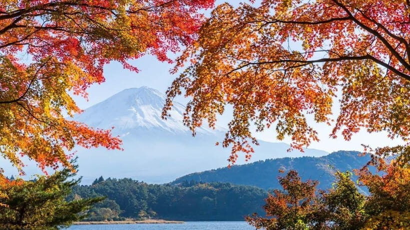 From Tokyo: Private Mt. Fuji and Hakone Tour by Car - Private Mt. Fuji and Hakone by Car: why this format works