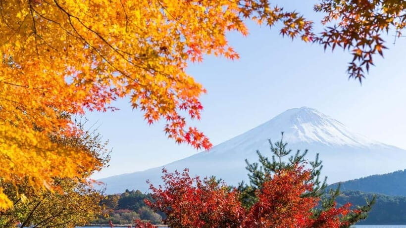 From Tokyo: Private Mt. Fuji and Hakone Tour by Car - Owakudani: the volcanic stops you’ll remember for years