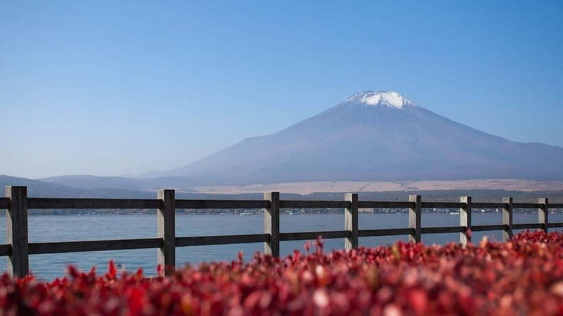 From Tokyo: Private Mt. Fuji and Hakone Tour by Car - What the driver service looks like in real life (names included)