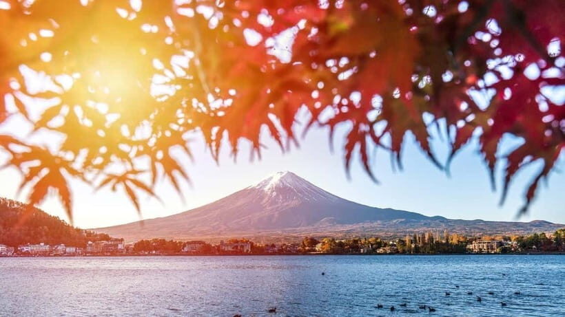 From Tokyo: Private Mt. Fuji and Hakone Tour by Car - The 10-hour rhythm: timing, transfers, and where the day can feel tight
