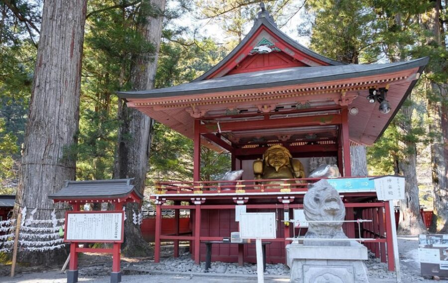 From Tokyo: Private Nikko World Heritage Sights Day Trip - Your guide and driver support (and why it matters at Nikko)