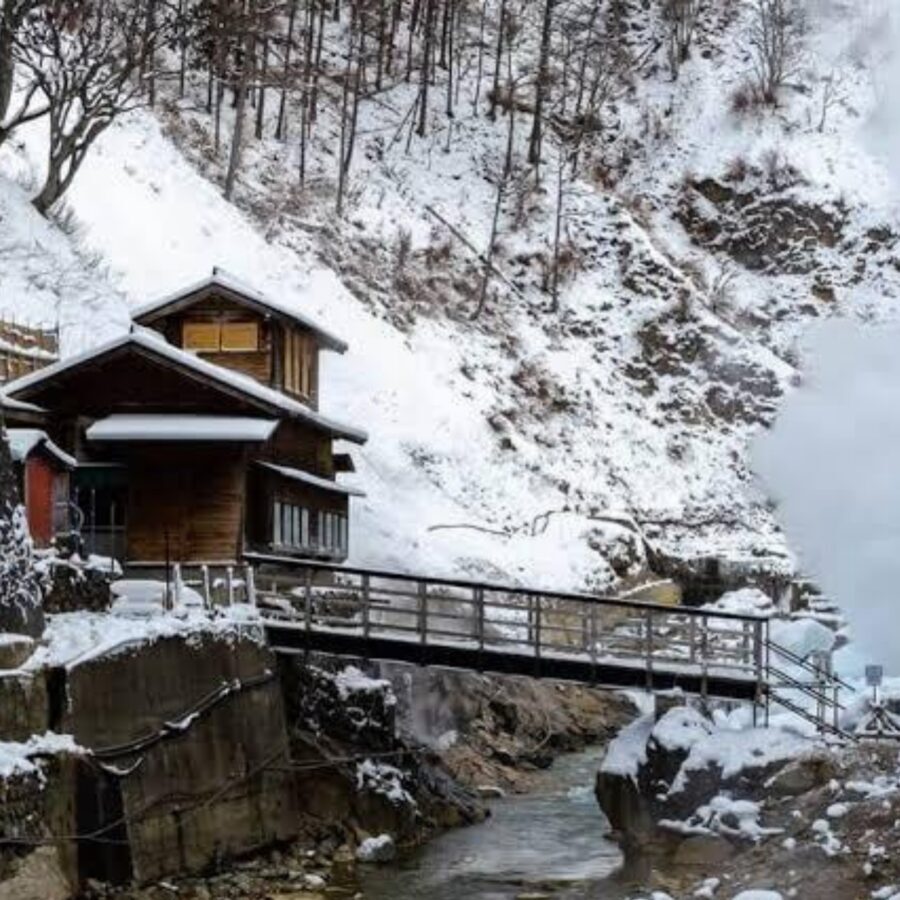 From Tokyo: Private Tour Snow Monkey Park & Zenko-ji Temple - Matsushiro Castle Ruins: samurai-era traces, not a theme park