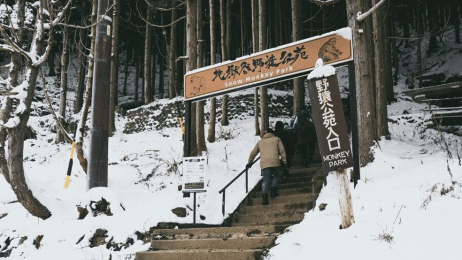 From Tokyo: Private Tour Snow Monkey Park & Zenko-ji Temple - Obuse: snack-and-stroll time with a quieter kind of charm