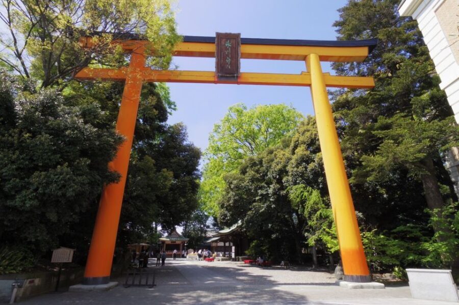 From Tokyo: Round-Trip Fare to Kawagoe City - Kawagoe from Tokyo: a calm day trip with old-town visuals