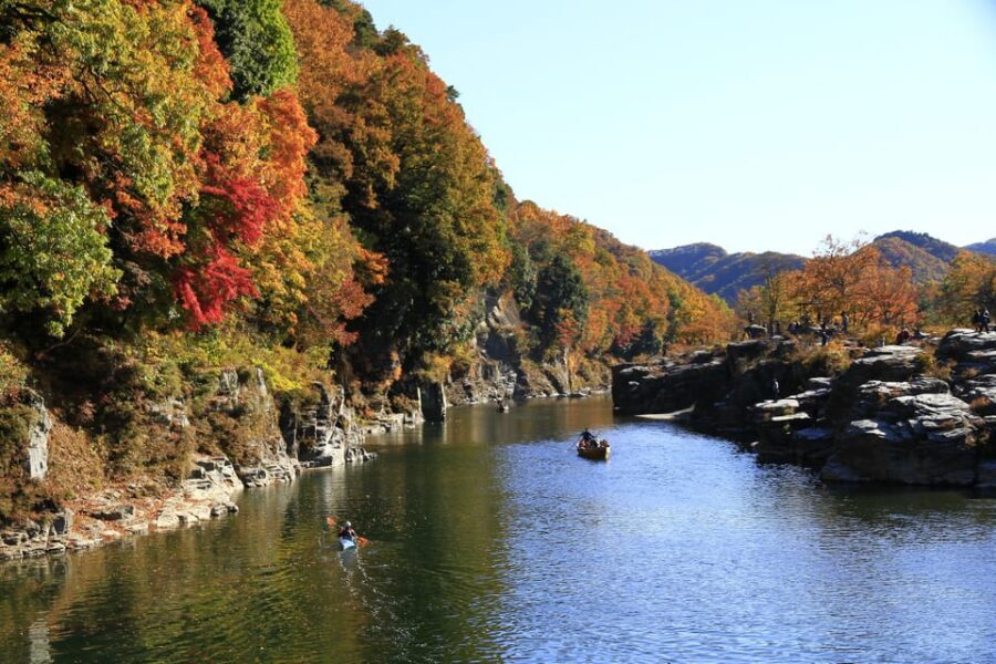 From Tokyo: Seibu Railway 1 Day Pass and Nagatoro - Where to pick up in Ikebukuro (and what can trip you up)