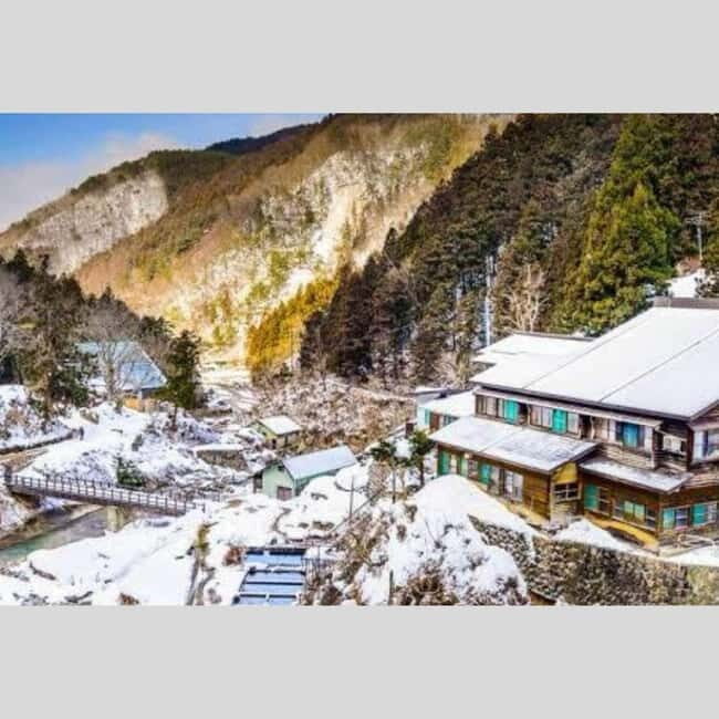 From Tokyo: Snow Monkey Park and Miso Production Day Tour - Obuse and miso production: where food history becomes a real stop