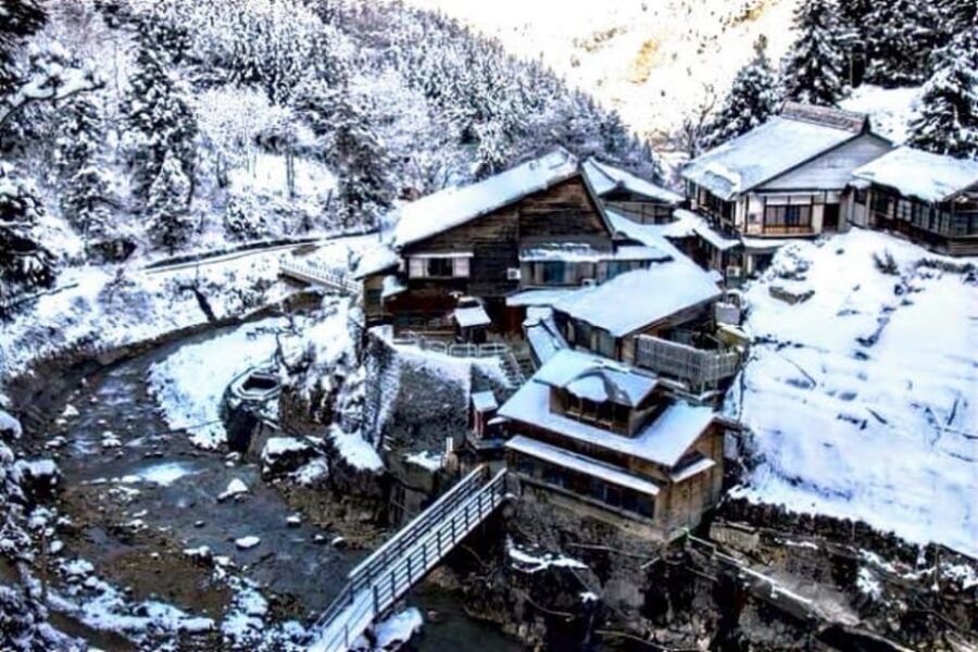 From Tokyo: Snow Monkey Private Customize Day Tour - Matsumoto for an Old-But-Noticeable Town Feel