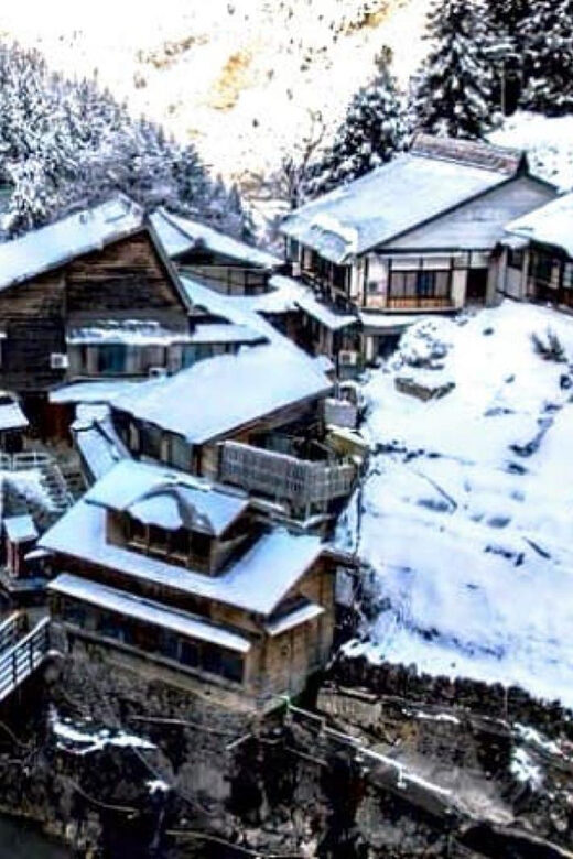 From Tokyo: Snow Monkey Private Customize Day Tour - The Private Driver/Guide Touch: Where the Day Gets Better