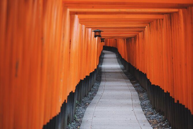 From Tokyo to Kyoto and Nara: A Captivating Full-Day Private Tour - Price and Logistics: The Costs You Must Plan For