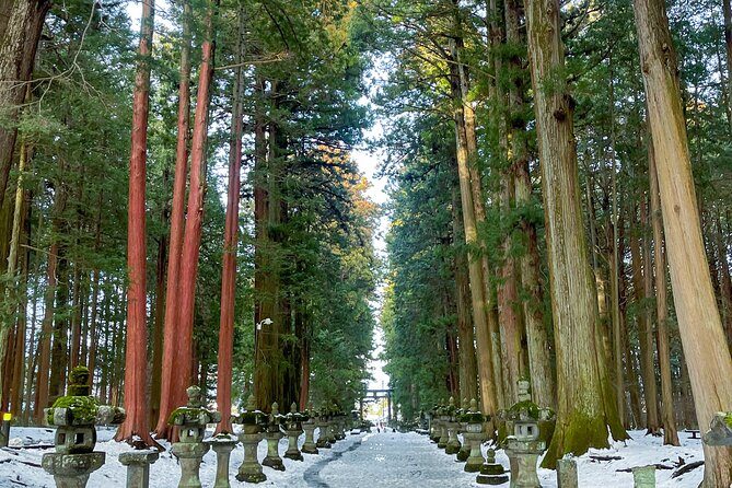 From Tokyo to Mount Fuji! Private Car Tour by Eng Speaking Driver - Why a private Tokyo-to-Fuji car day beats the train shuffle