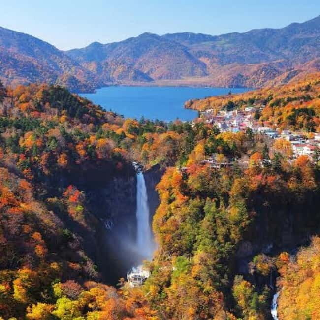 From Tokyo To Nikko Private Day Tour With English Guide - Key points that matter before you go