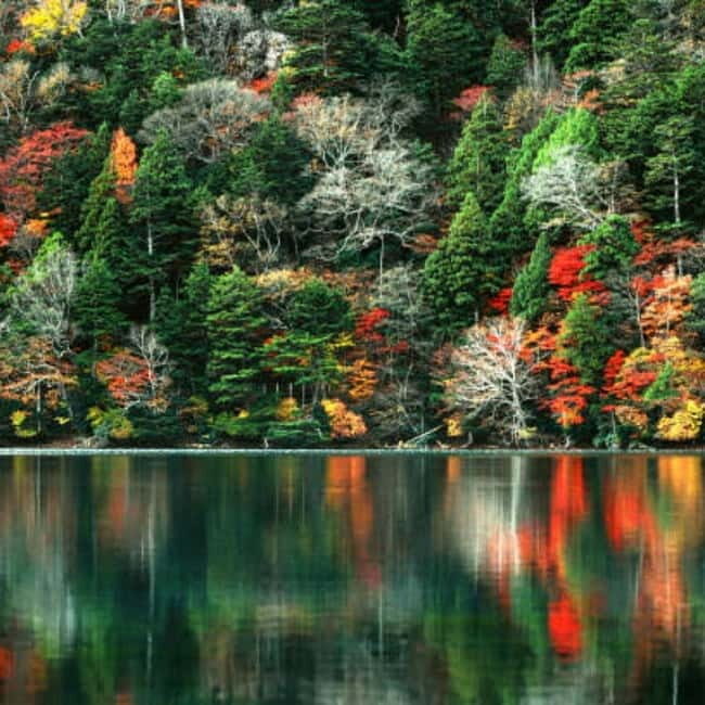 From Tokyo To Nikko Private Day Tour With English Guide - What to know before you go (so the day stays smooth)