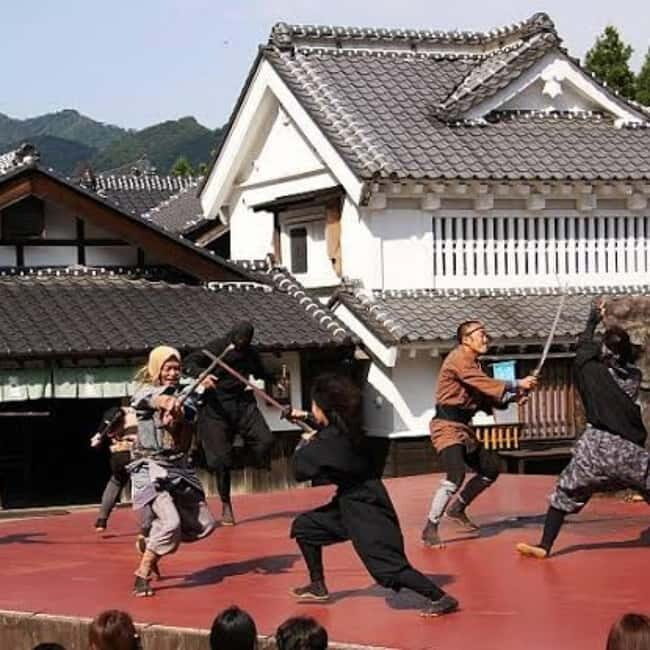 From Tokyo To Nikko Private Day Tour With English Guide - Edo Wonderland, Natural Science Museum, and Nikkō National Park