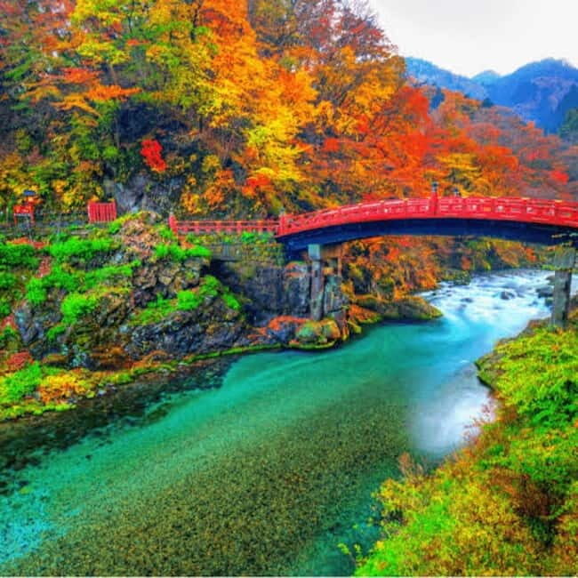 From Tokyo To Nikko Private Day Tour With English Guide - Lake Chūzenji and the ride up: how to use the drive time