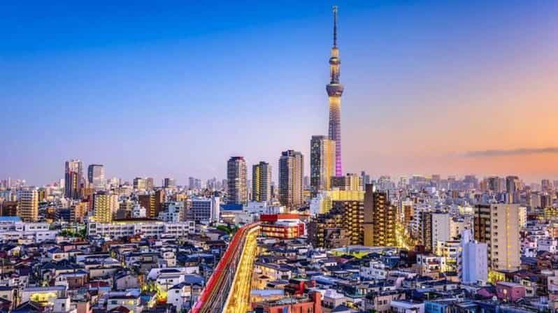 From Tokyo: Tokyo Private Customize Tour With English Driver - Shibuya Crossing: modern Tokyo in a controlled dose