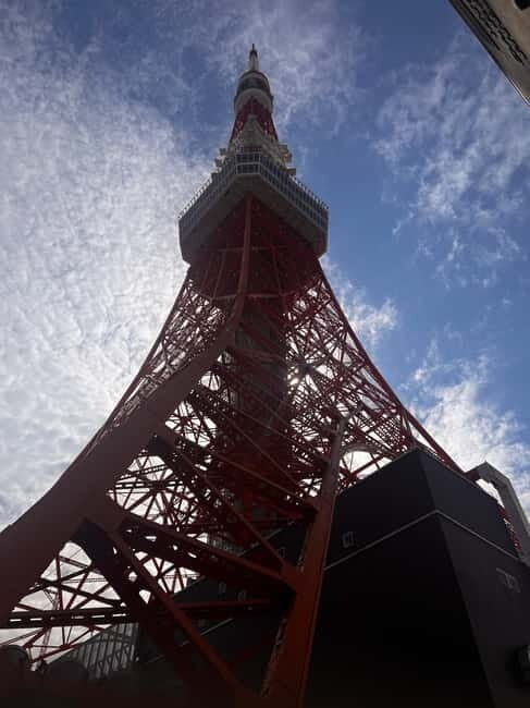 From Tokyo: Tokyo Private Customize Tour With English Driver - Meiji Shrine: a calm reset from the city