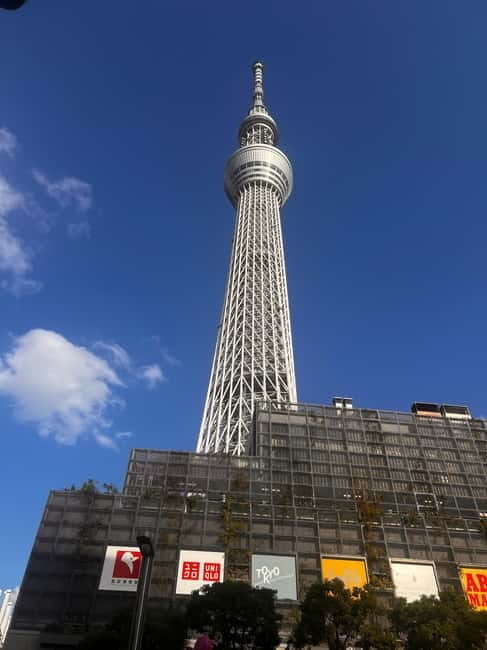 From Tokyo: Tokyo Private Customize Tour With English Driver - Harajuku and Takeshita Street for fashion and people-watching