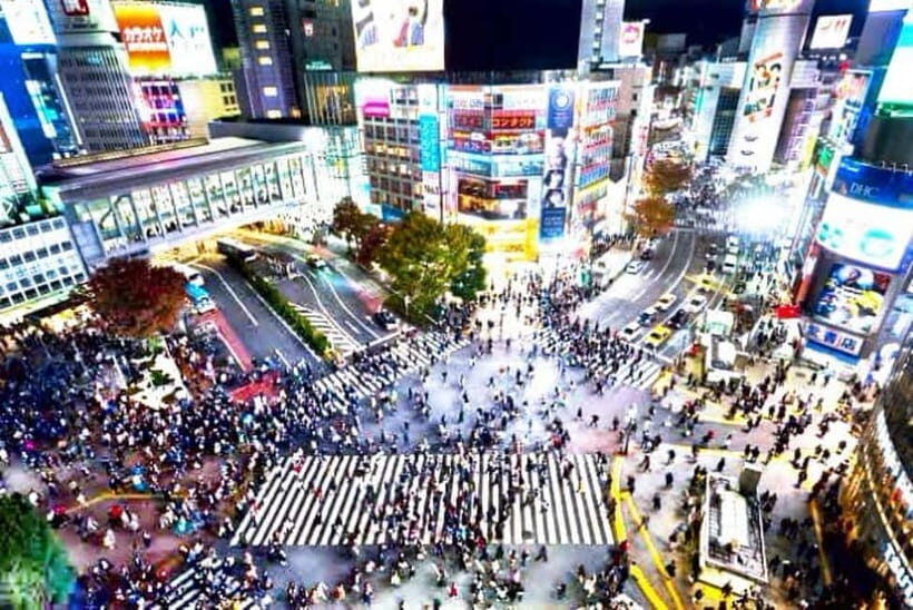From Tokyo: Tokyo Private Customize Tour With English Driver - Skytree and the skyline view you can plan for