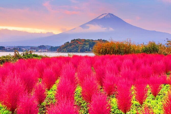From Tokyo: Top 5 Scenic Spots of Mount Fuji Full-Day Tour - How This Tokyo-to-Fuji Day Trip Really Feels (11 Hours, Bus + Photo Stops)