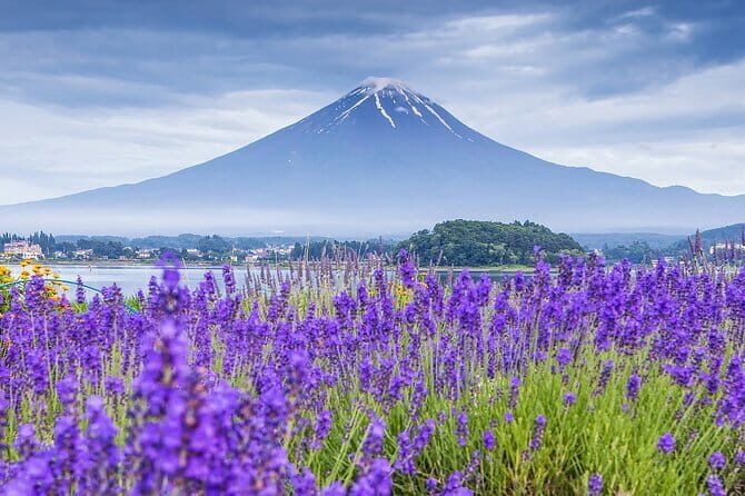 From Tokyo: Top 5 Scenic Spots of Mount Fuji Full-Day Tour - Stop 1: Arakurayama Sengen Park and the Pagoda Perspective