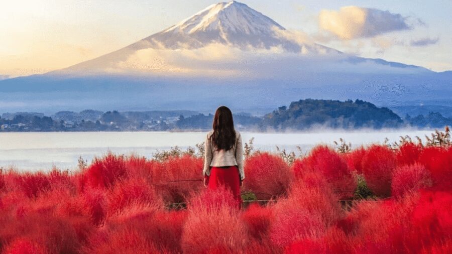 From Tokyo:Mount Fuji Private Customizable Tour With English - Private Car From Tokyo: The Real Value Is Control