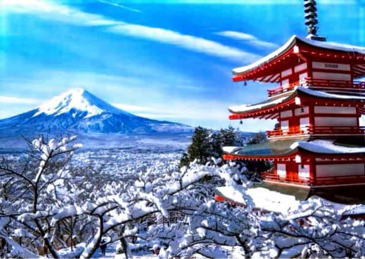 From Tokyo:Mount Fuji Private Customizable Tour With English - Kawaguchiko and Oshino Hakkai: The Fuji Pictures You Actually Want