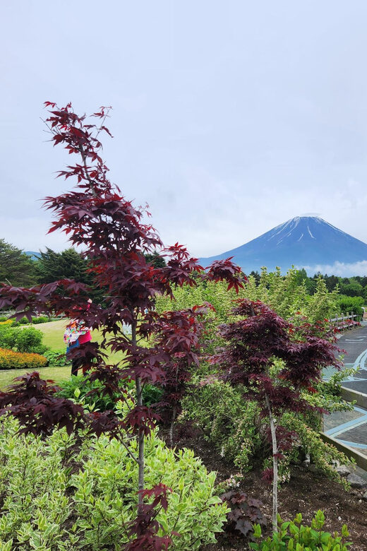 From Tokyo:Mount Fuji Private Customizable Tour With English - Hakone Ropeway, Owakudani, and Lake Ashi: When Fuji Needs a Counterweight
