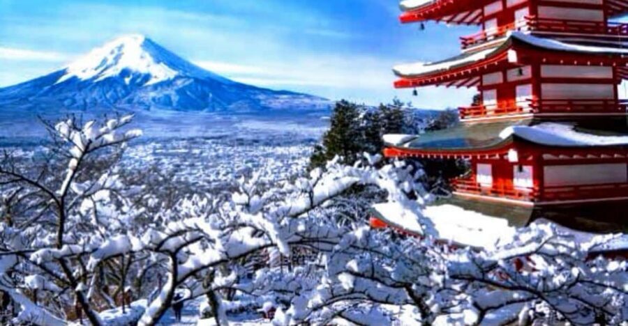 From Tokyo:Mount Fuji Private Customizable Tour With English - Price and Value: $364 for up to 6 People