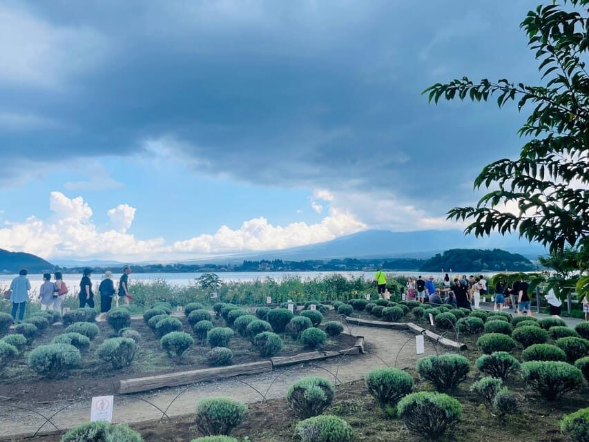 From Tokyo:Mount Fuji private day tour with English driver - Tokyo to Mount Fuji by private van: what the day is really like